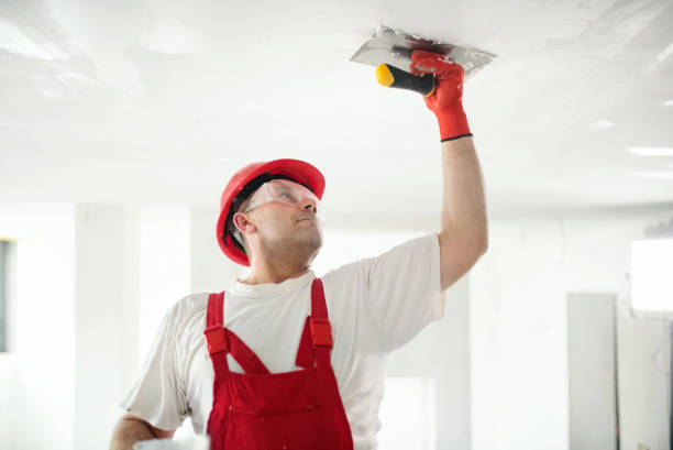 Trusted Willow Creek, CA Drywall & Painting Services Experts